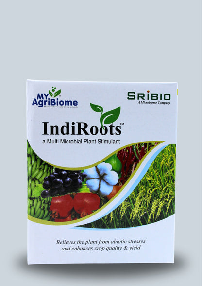 INDIROOTS - ALL CROPS