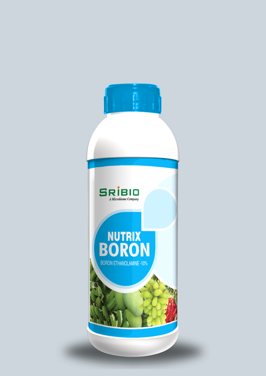 NUTRIX BORON