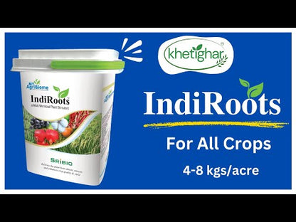 INDIROOTS - ALL CROPS